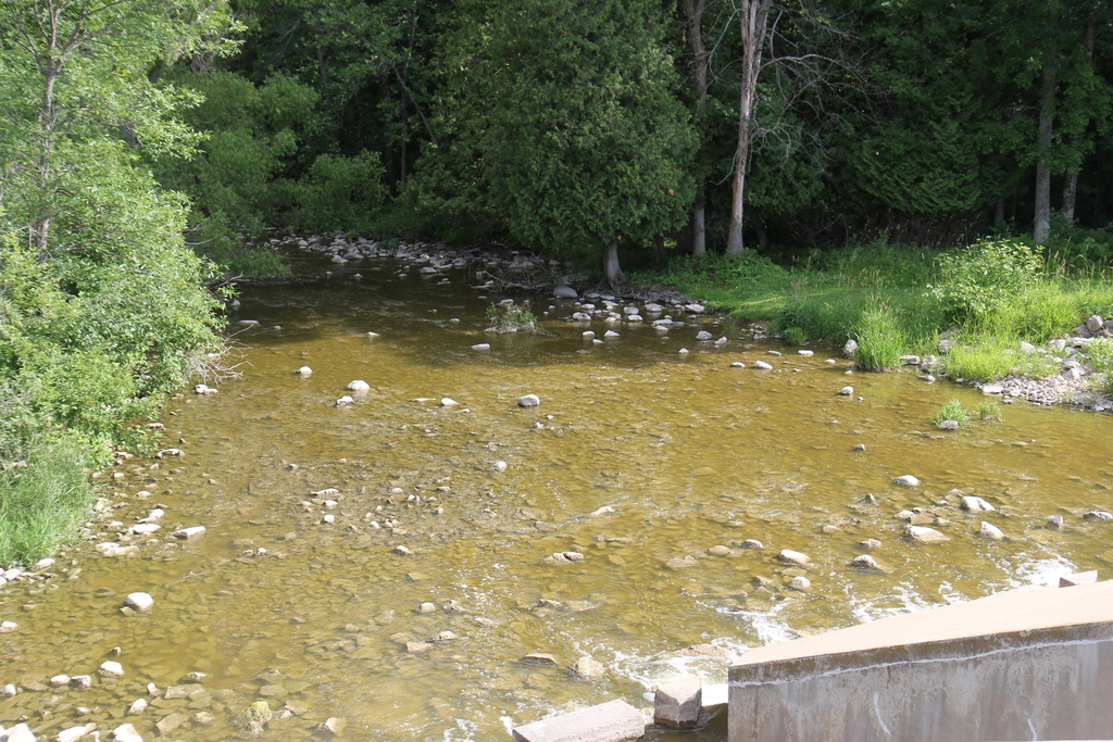 Ahnapee River below Forestville Dam