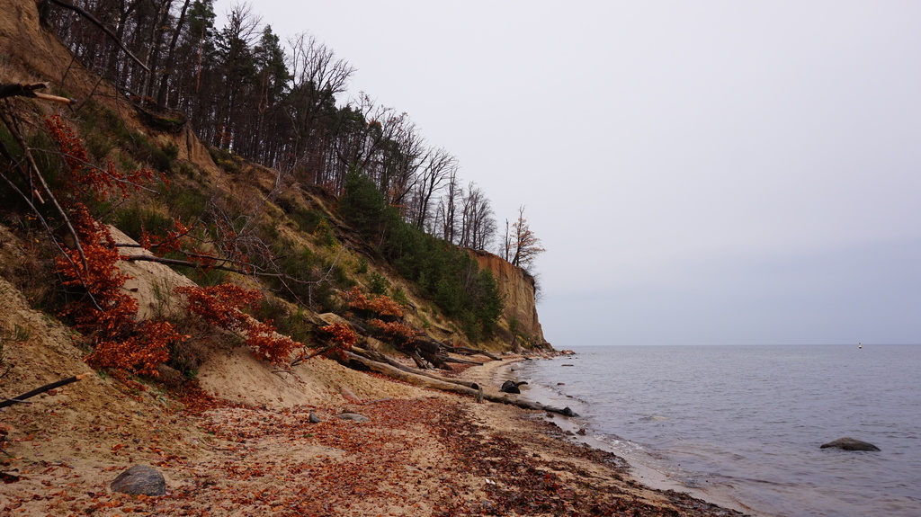 Klif Orłowski, Gdynia - Redłowo - panoramio