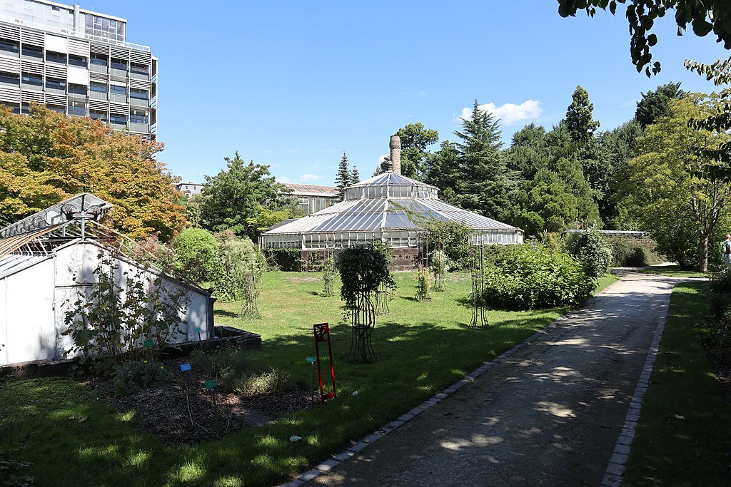 Neustadt Strasbourg jardin botanique de Strasbourg (42474162520)