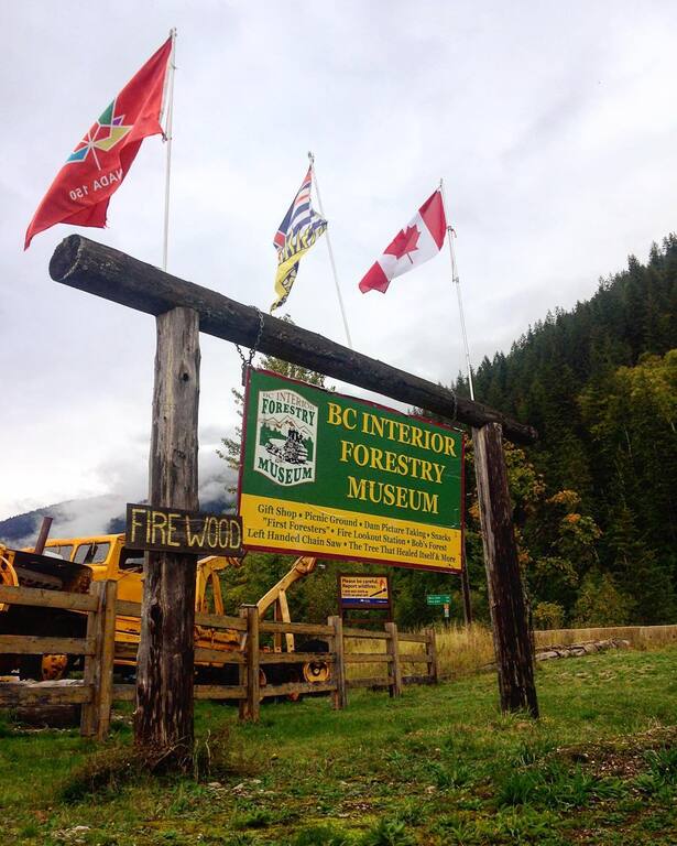 things to do in revelstoke canada | tour the bc interior forestry museum and forest discovery center