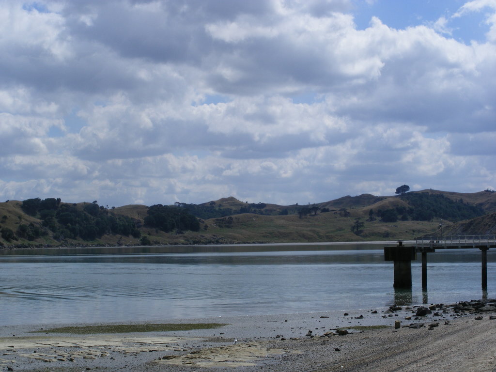 A wharf in Raglan