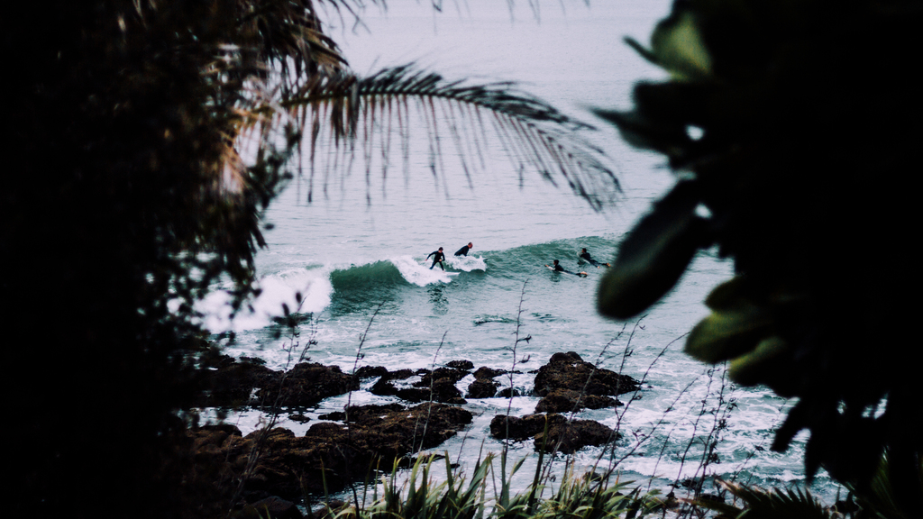 Surfers through the trees (Unsplash)