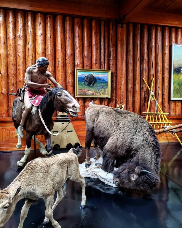 things to do in banff canada | learn the history of indigenous canadians at buffalo nations museum