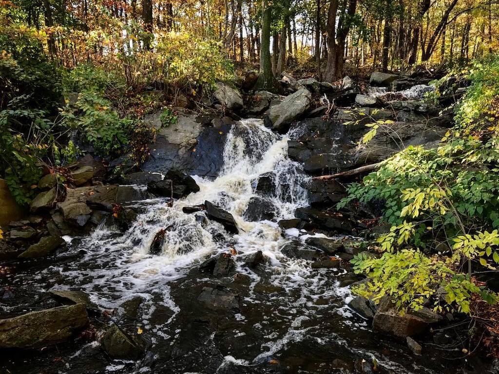 things to do in darien ct | take a stroll through stony brook park