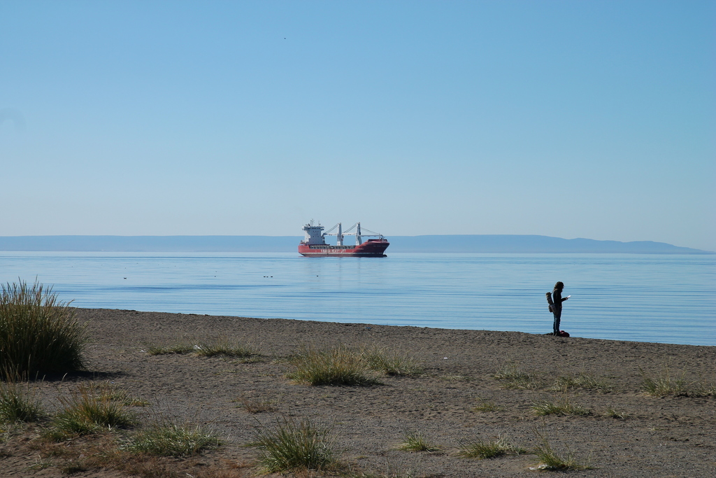 Punta Arenas, costanera