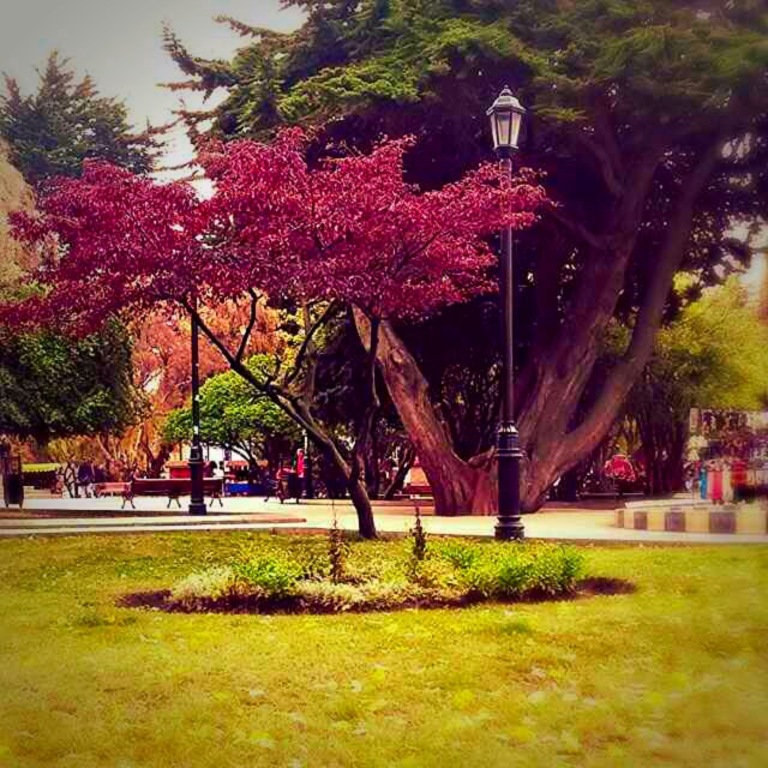 Plaza de armas de Punta Arenas