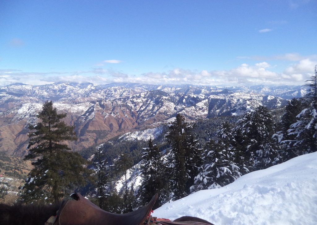 Great Himalayan National Park Mountain View