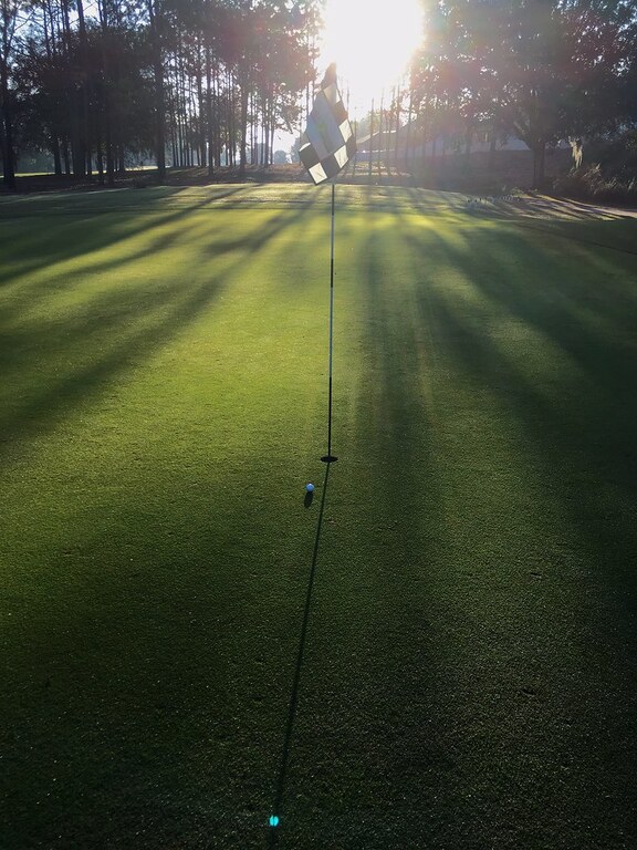 Early Morning Green