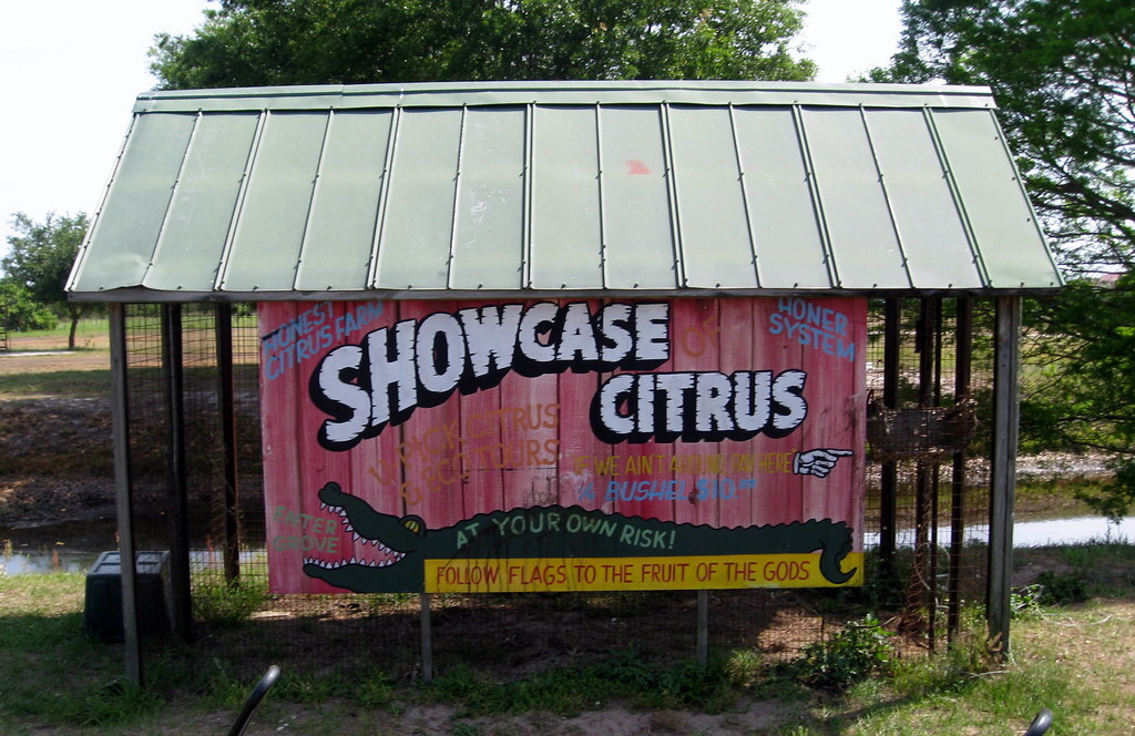 Clermont - Showcase of Citrus - Sign