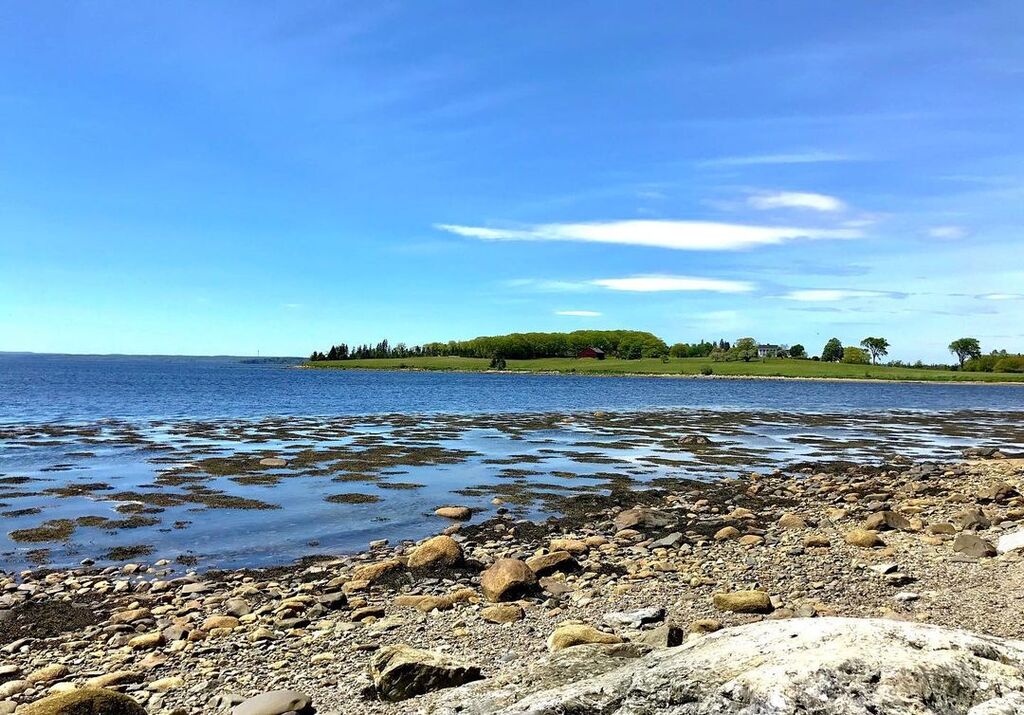 things to do in castine me | try some water activities at backshore beach