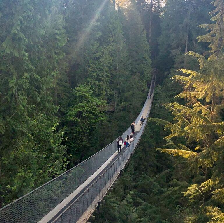 tours4fun vancouver | vancouver city tour with capilano suspension bridge visit