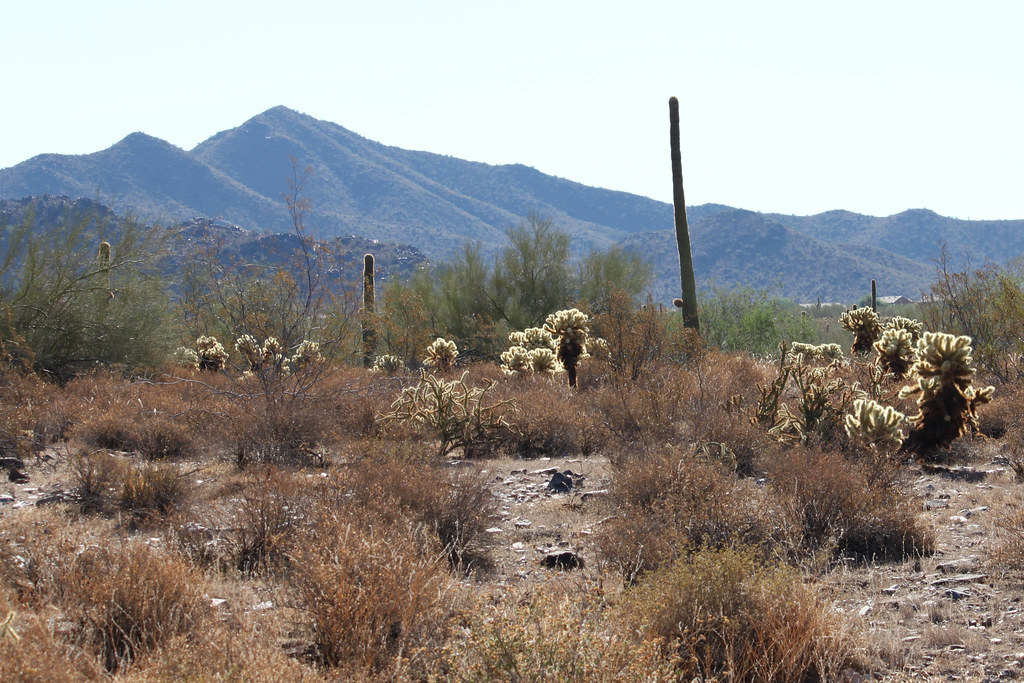 McDowell Sonoran Preserve from Gateway Entrance