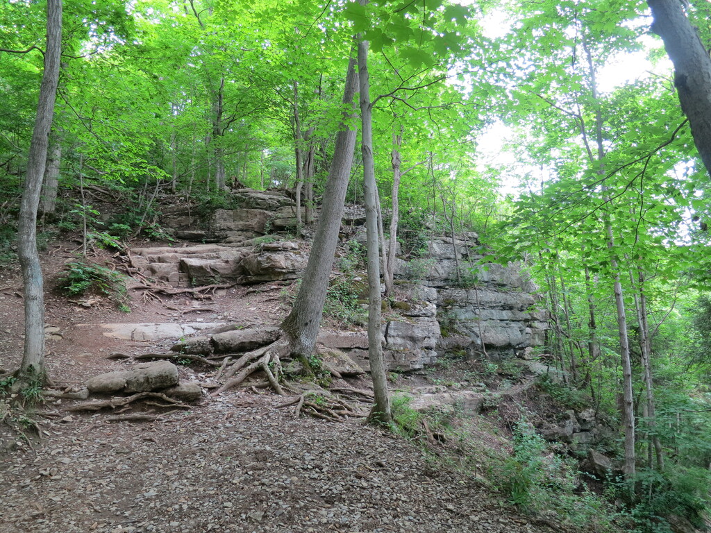 Limestone cliff