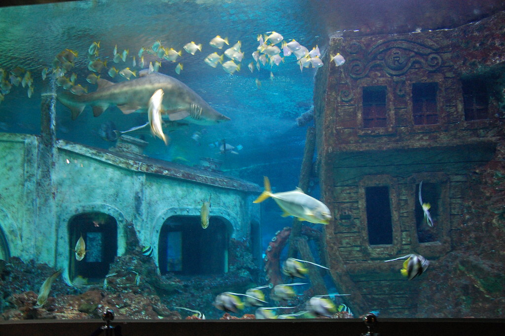 Voronezh Aquarium