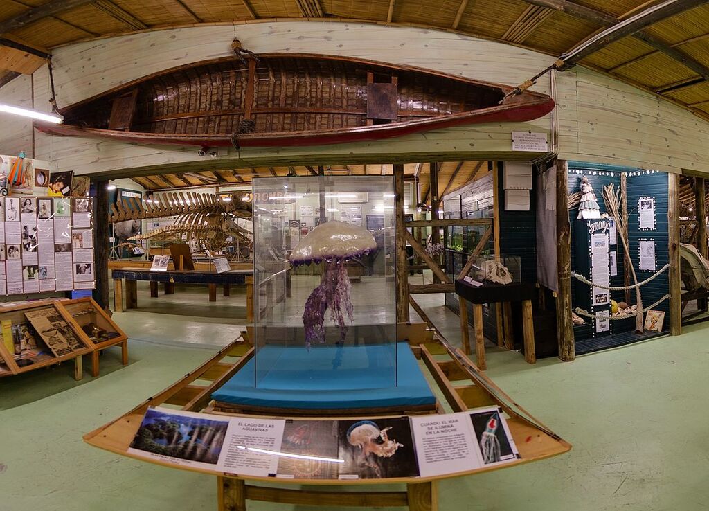 Museo del Mar - Sala principal