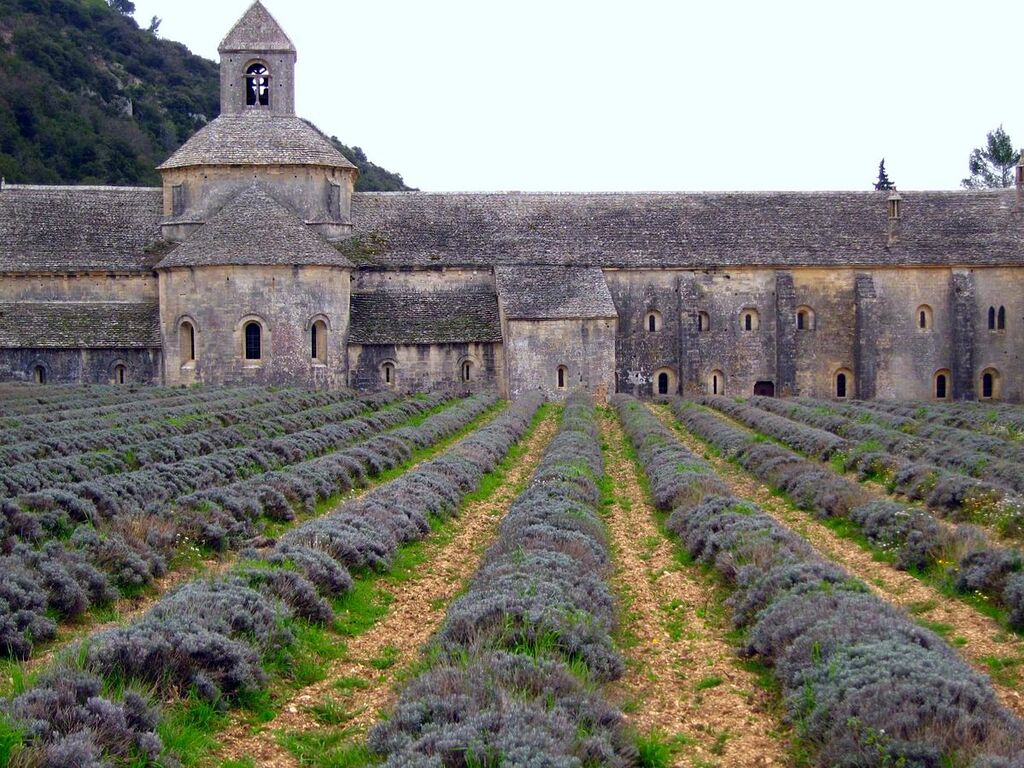 Senanque Abbey, Luberon, France (465186872)