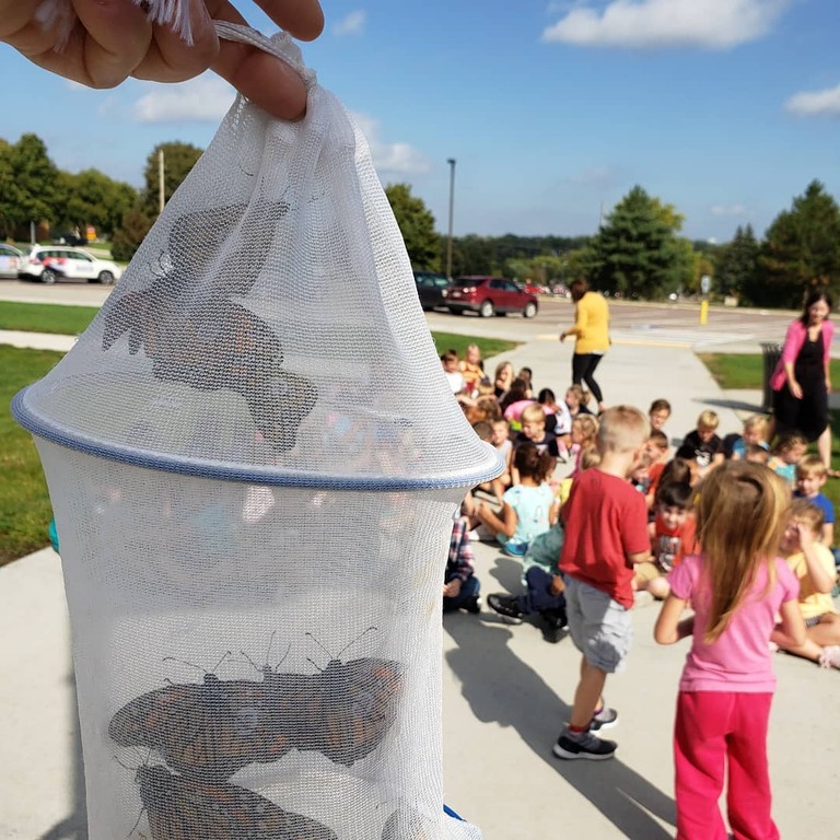 things to do in sioux city | let your kids enjoy the summer camp at dorothy pecaut nature center