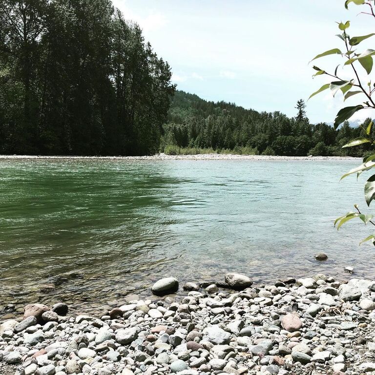 go fishing in mamquam, cheakamus, squamish and elaho rivers