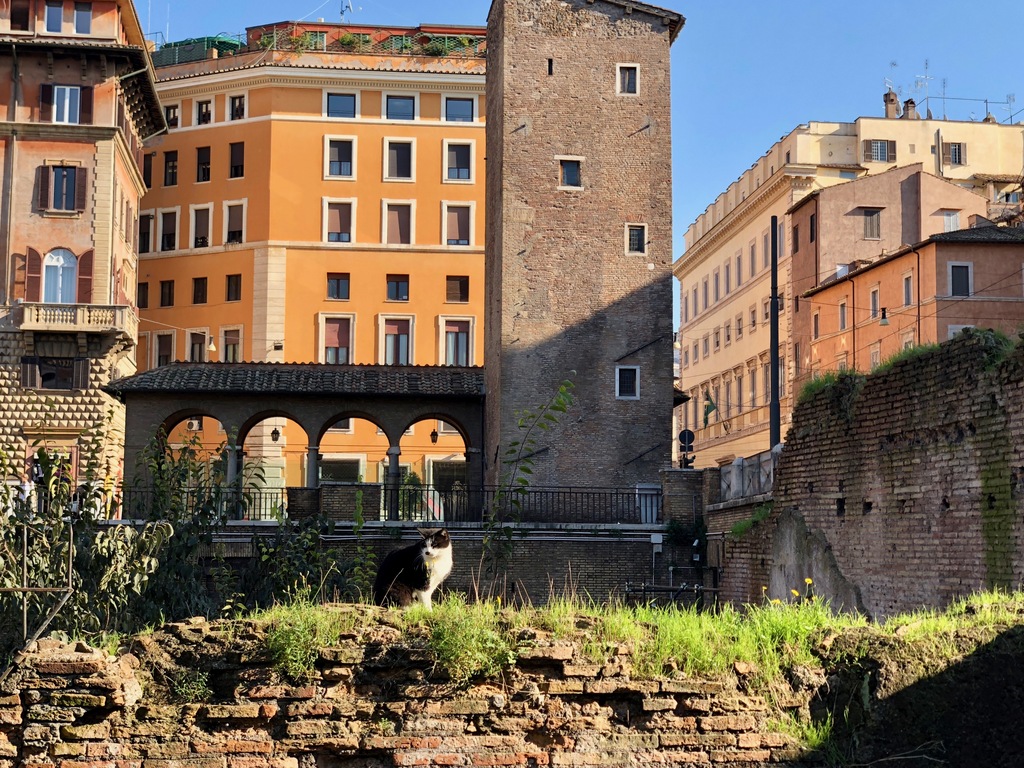 Largo di Torre Argentina