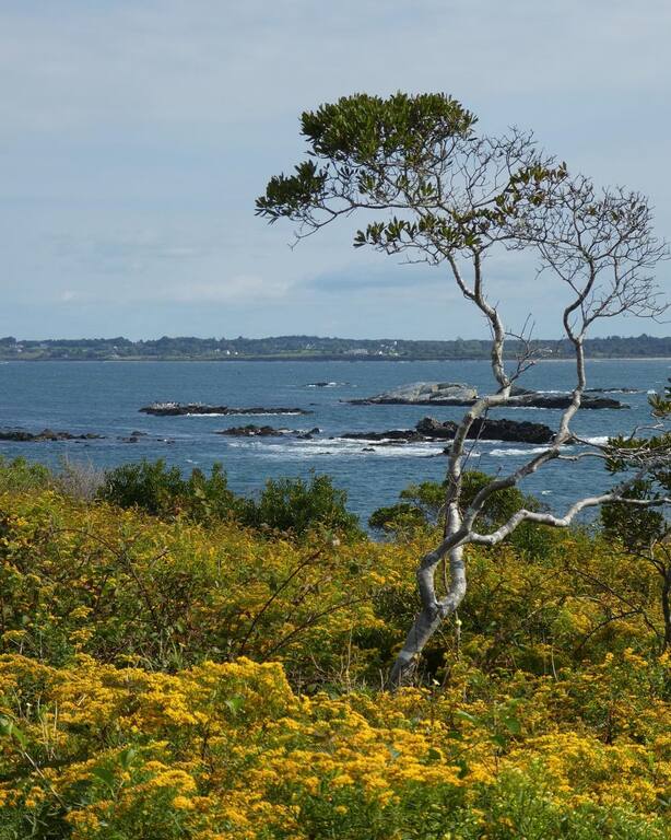 things to do in middletown ri | go for fishing and wildlife viewing at sachuest point national wildlife refuge