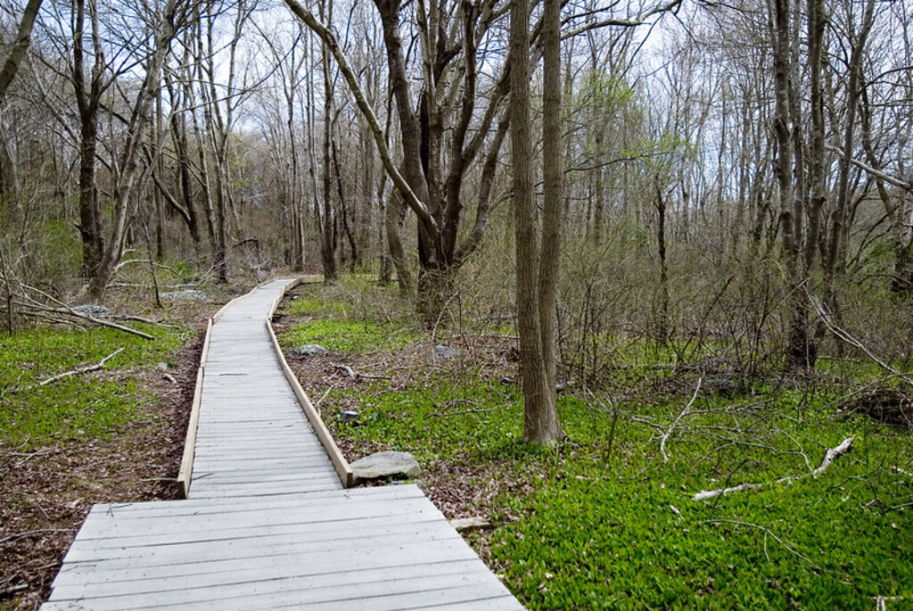 woodcock trail