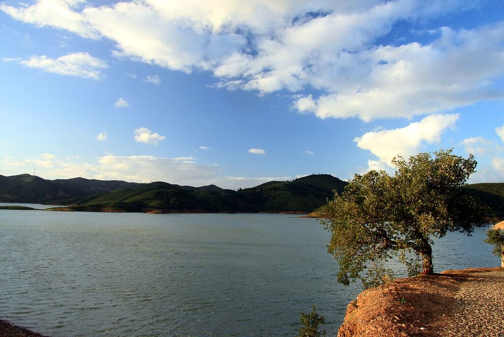 Barragem do Arade - tree at sunset (13411827423)