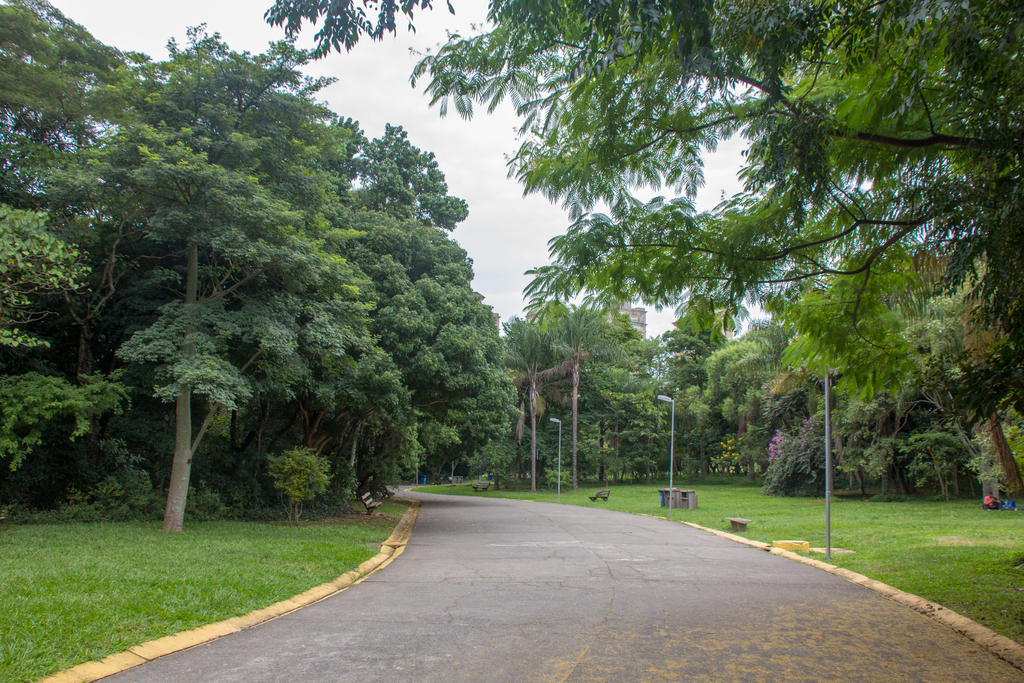Parque Villa-Lobos 2018 041