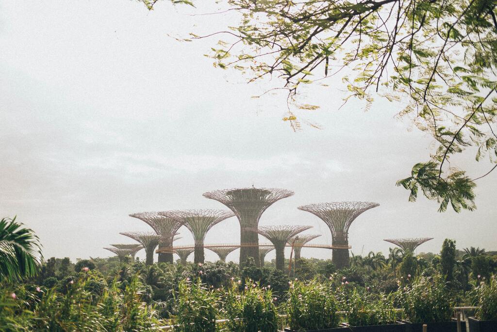 Garden by the Bay