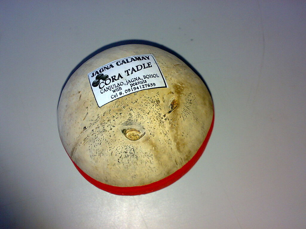 Bohol Kalamay packaged traditionally inside empty coconut shells