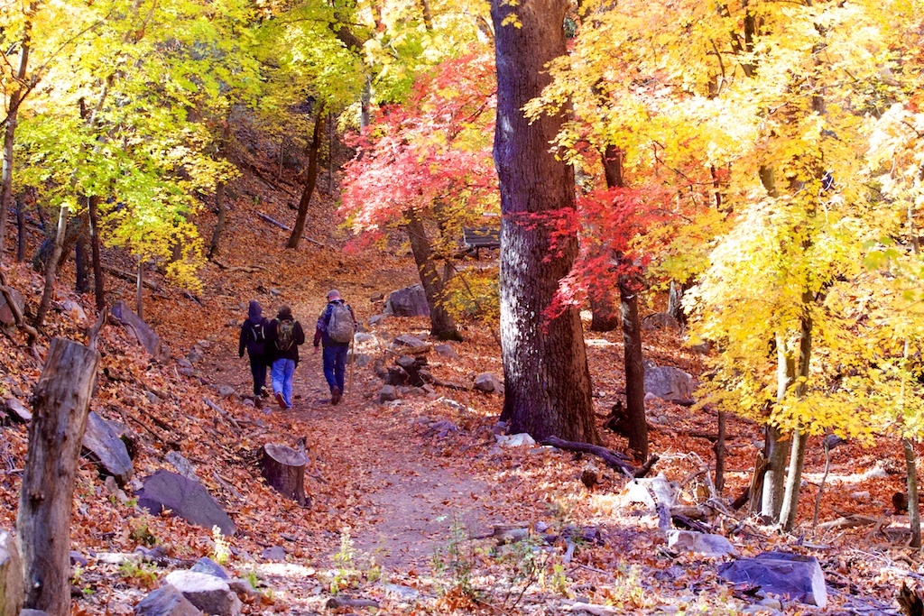 Ramsey Canyon Nature Preserve
