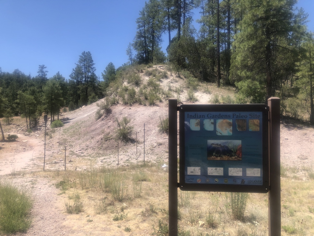 Indian Gardens Paleo Site approximately 12 miles east of Payso Arizona on highway 260
