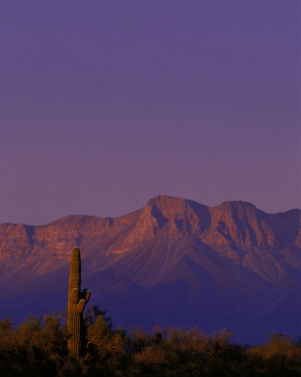 View in Cabeza Prieta National Wildlife Refuge, Arizona