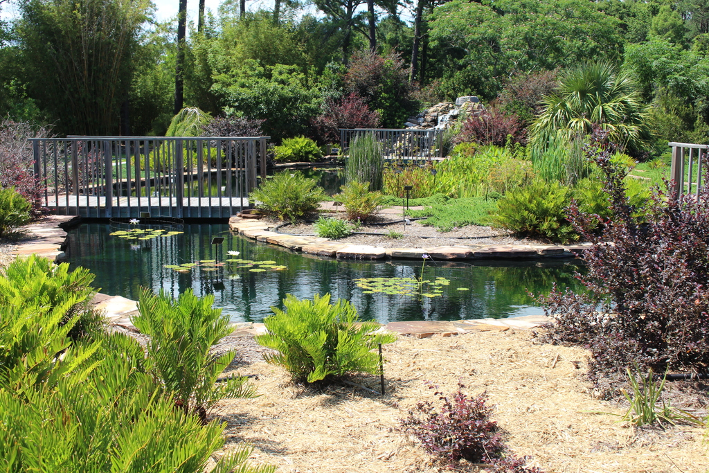 Coastal Georgia Botanical Gardens