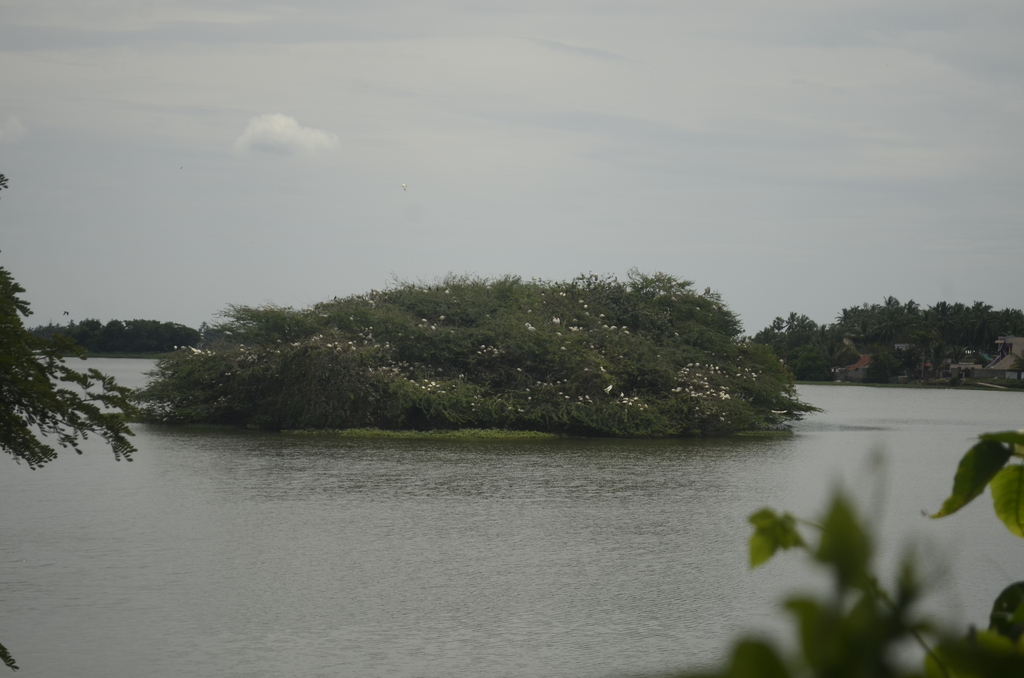 Parakkai Lake