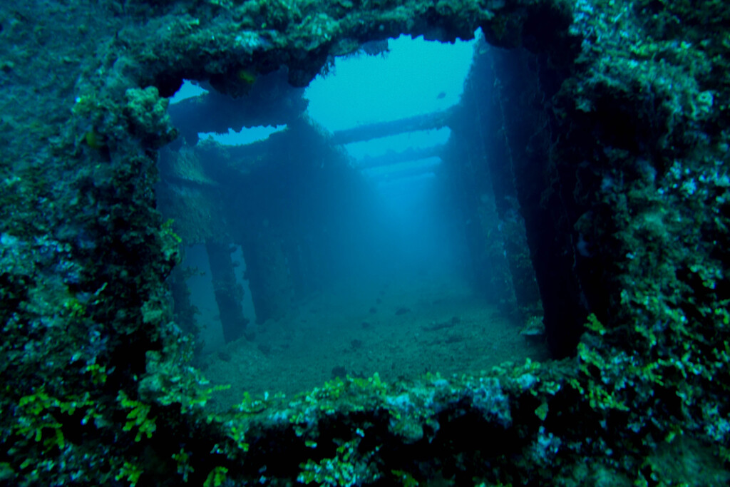 Looking into the Tokai Maru