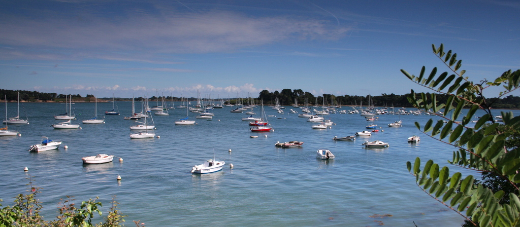 Golfe du Morbihan - 1