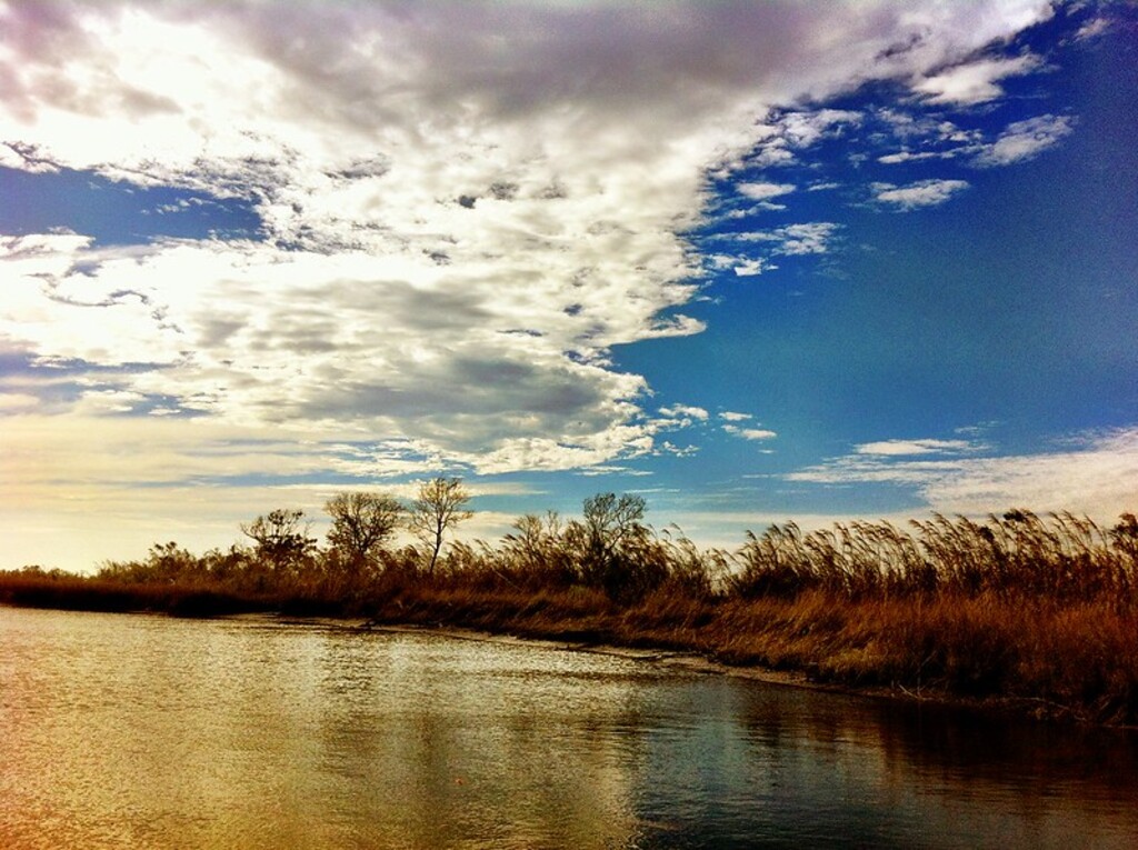 Port Sulphur