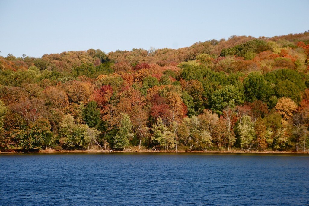 Radnor Lake autumn