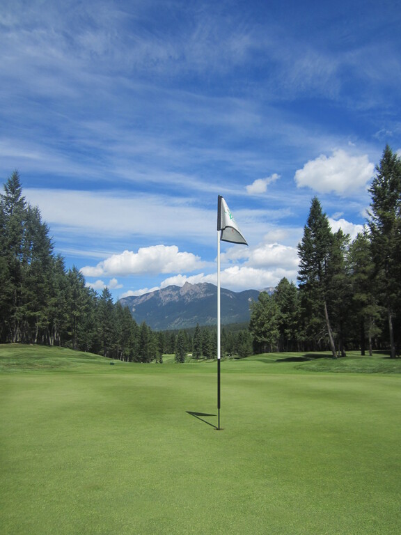 Flag