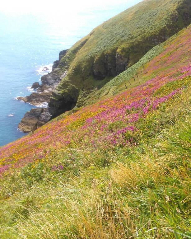 things to do in tipperary ireland | walk the path of st. declan's way