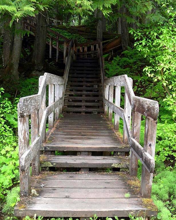 things to do in revelstoke canada | hike through the giant cedars boardwalk trail