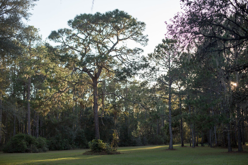 Potts Preserve