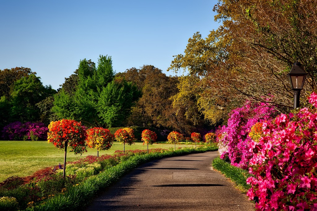 Bellingrath Gardens