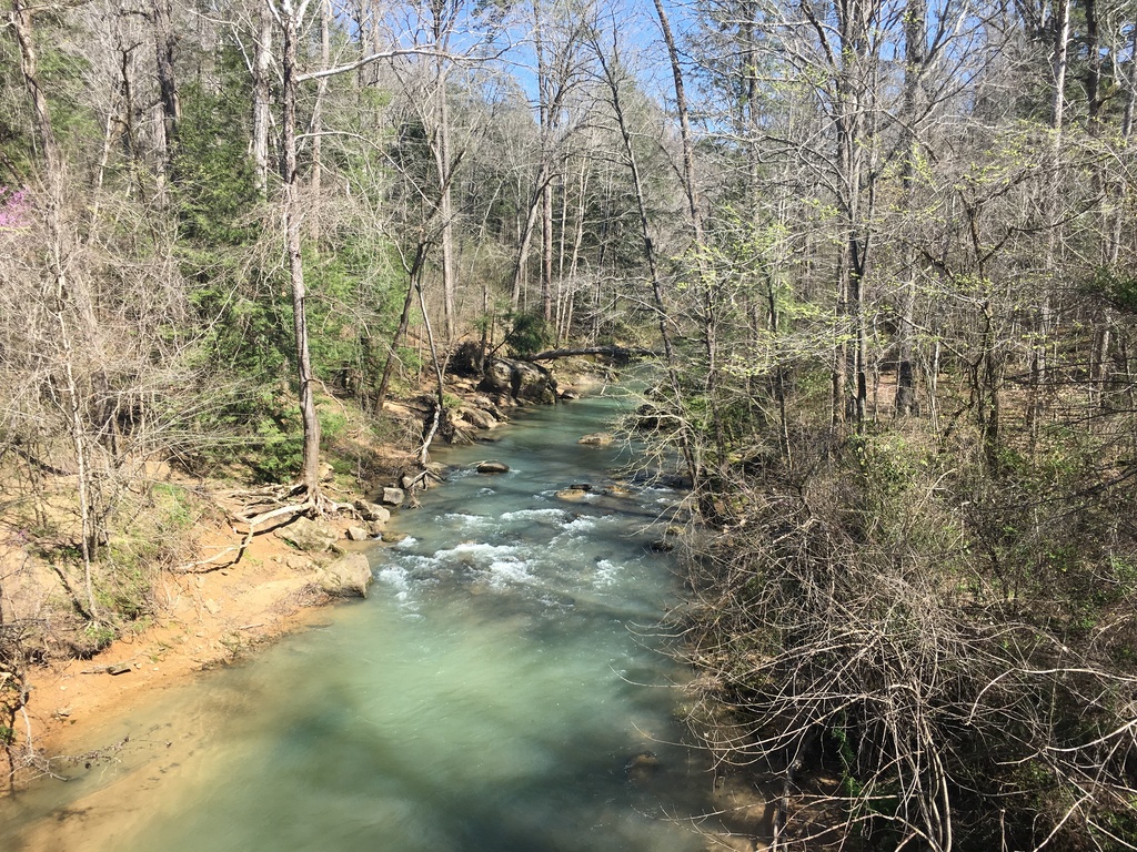 Sipsey Wilderness 2018 02
