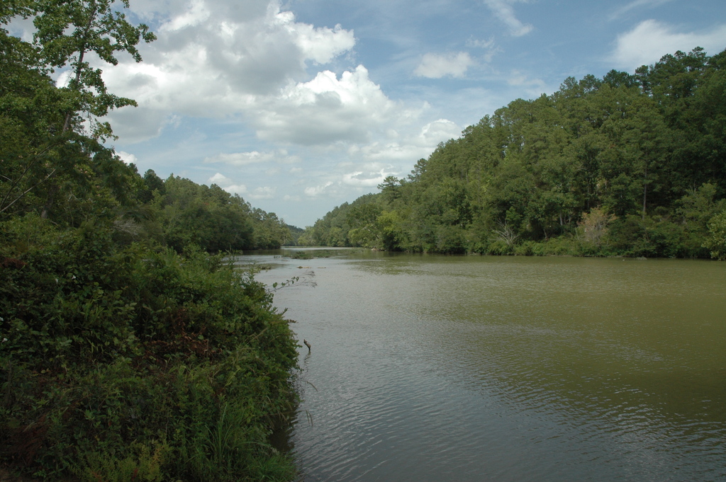 Cahaba River 3 (5687007131)
