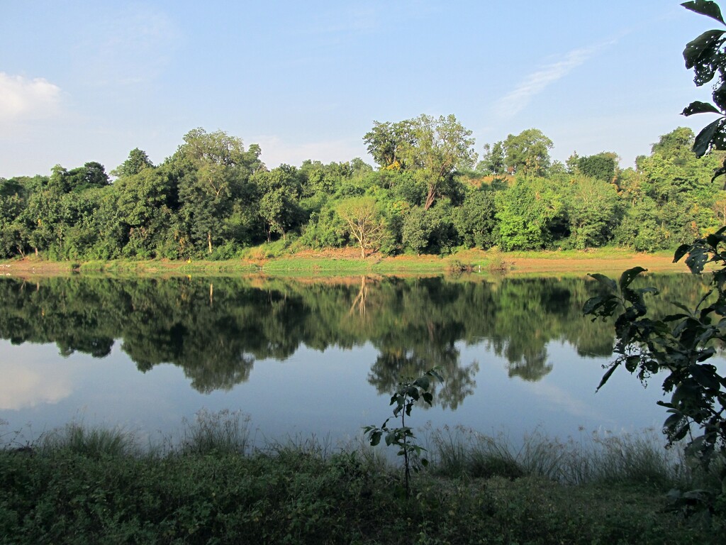 Purna River view from Campsite