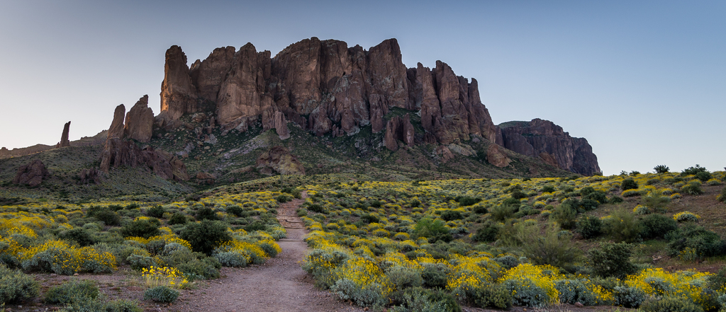 Spring in the Superstitions, Lost Dutchman State Park, March 2015 - panoramio