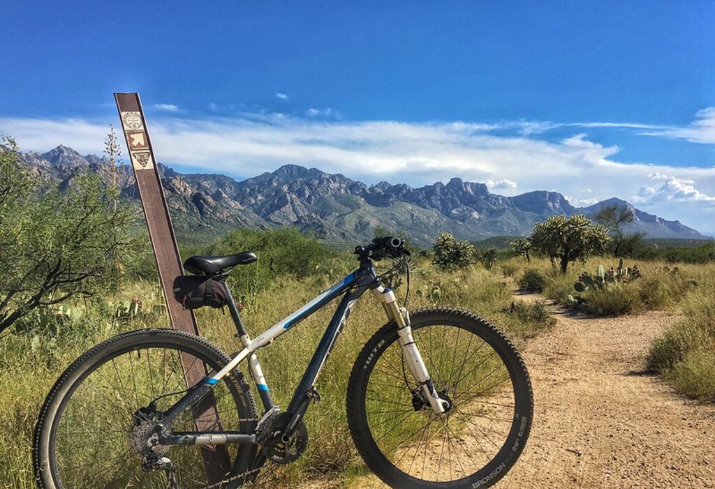 Mountain biking 50 Year Trail Catalina State Park