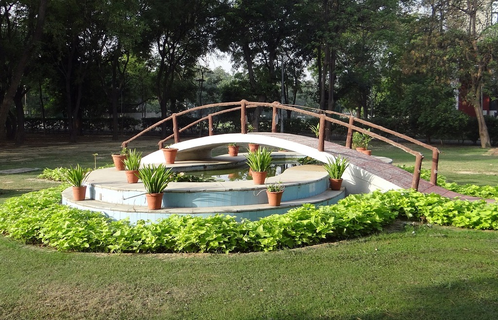 Lotus Pond in Ghaziabad