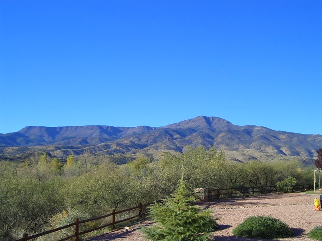 Mighty Mingus Mountain